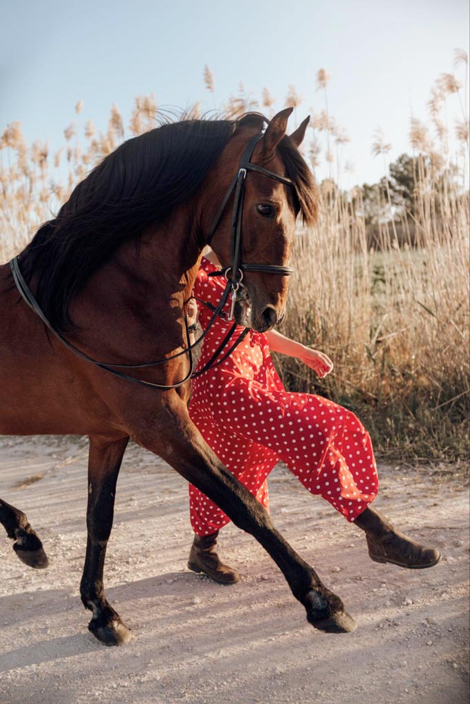 Caballo caminando junto a una persona vestida de rojo, símbolo del Año del Caballo de Fuego 2026 en la cultura china
